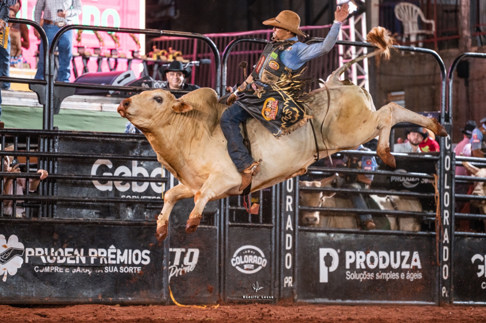 Chapolim Rodeio Rodeio de Colorado | Jubileu de Ouro